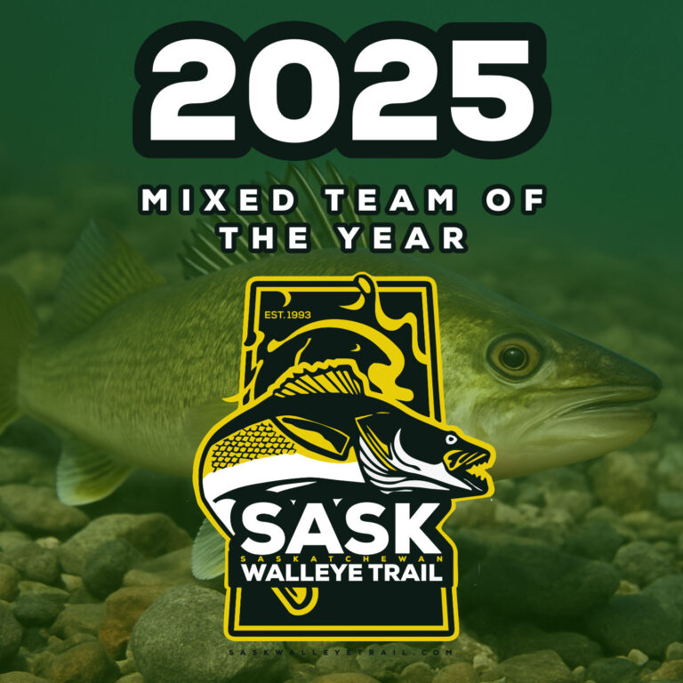 Mixed Team of the Year