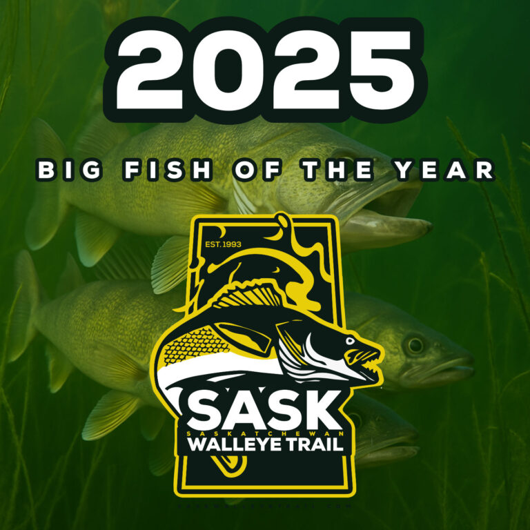 Big Fish of the Year – Kids Help Phone 50/50 Challenge